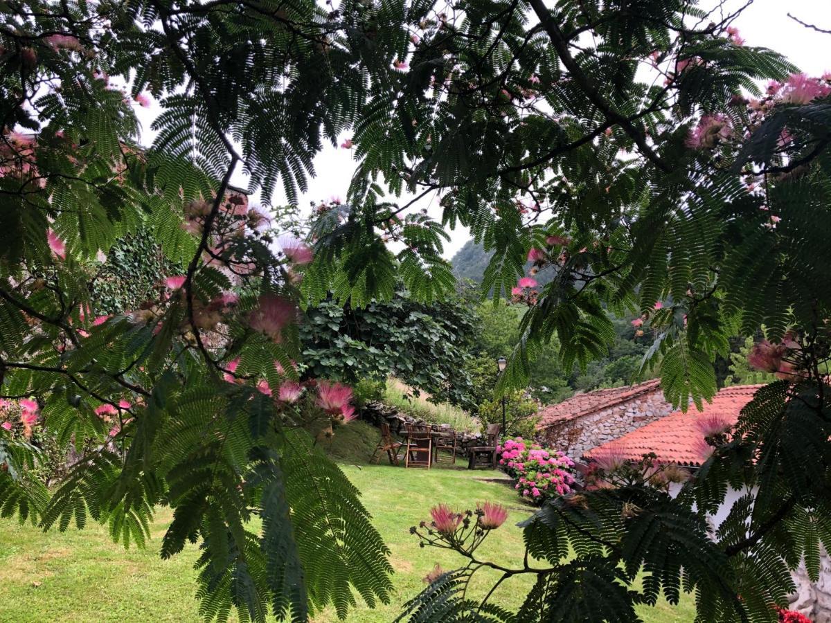 Hdec Hosteria De Castaneda Alojamiento Turistico Puente Viesgo Ngoại thất bức ảnh